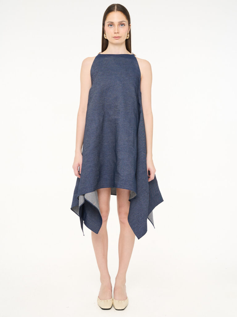 Goude Dress Denim